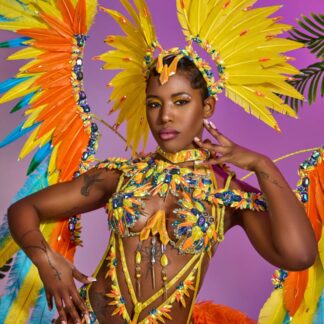 Birds of Paradise - Frontline