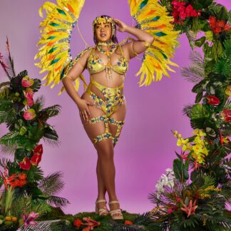 Birds of Paradise - Midline