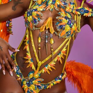 Birds of Paradise - Frontline Bodywear