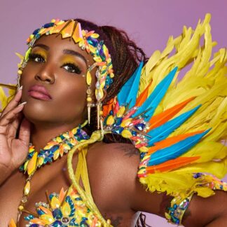 Birds of Paradise - small feathered shoulder piece